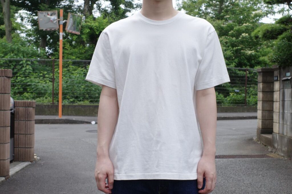 ヘインズ　SHIRO　サイズ感